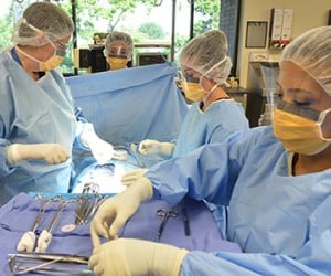 SJVC Receives National Recognition for Fresno Surg Tech Program